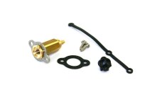 Tomasetto embout de remplissage mini M10 (filetage...