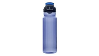 Contigo Free Flow AUTOSEAL™ Vacuum-Insulated Water Bottle, 700 ml (Blue  Corn)