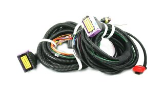 KME DIEGO G3 - 8 cylinder wiring harness