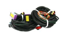 KME DIEGO G3 - 8 cylinder wiring harness