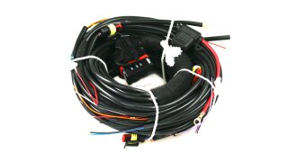 STAG-4 Q-BOX BASIC harness