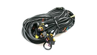 Landi Renzo EVO12 - 3/4 Zylinder Kabelbaum