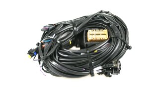 Landi Renzo Omegas DIRECT 1.0 & 3.0 - 4 cylinder wiring harness (GI25)