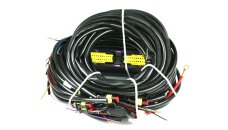 Landi Renzo Omegas 3/4 cylinder wiring harness for OBD...