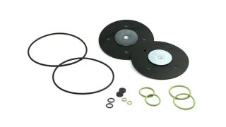 Bigas repair kit RI21 (double) reducer from 2010 (serial nr. 13597)